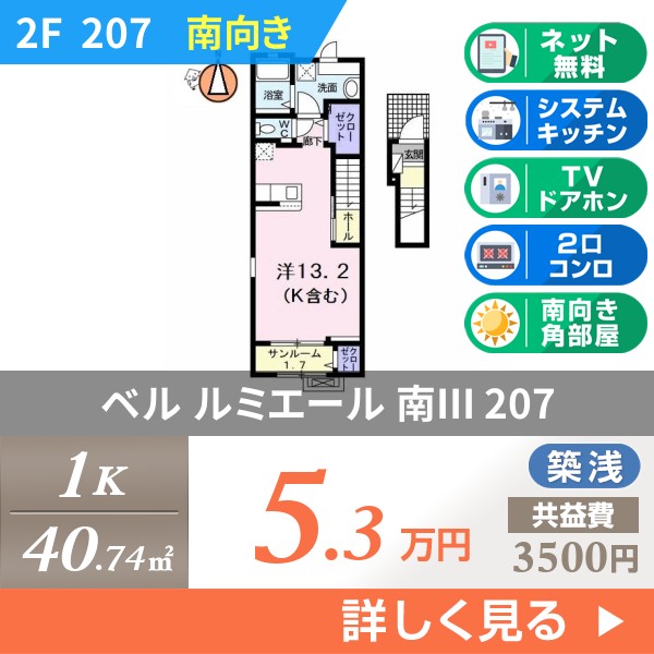ベル ルミエール 南III 207