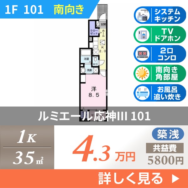 ルミエール応神III 101