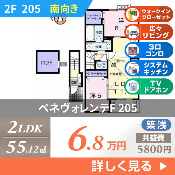 ベネヴォレンテF 205