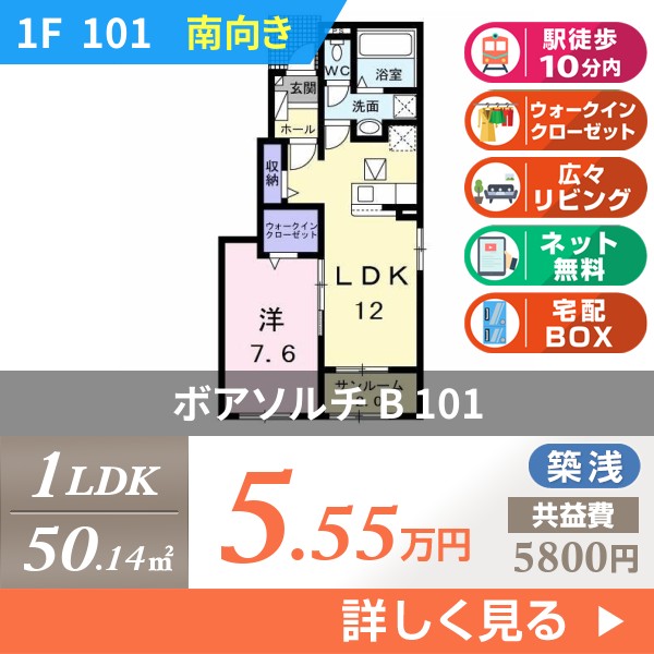 ボアソルチ B 101
