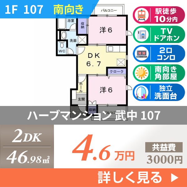 ハーブマンション 武中 107