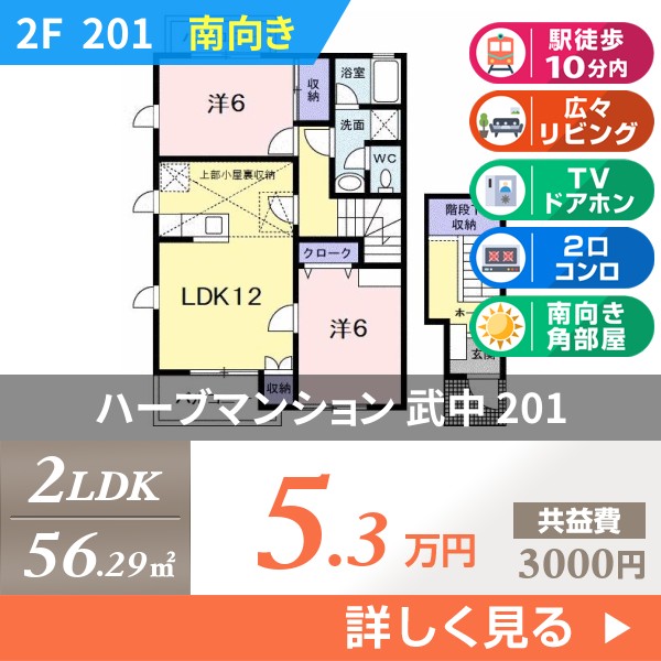 ハーブマンション 武中 201