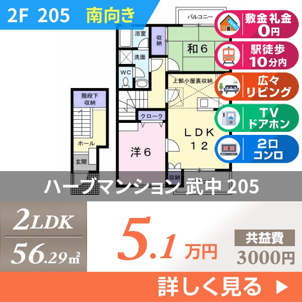 ハーブマンション 武中 205