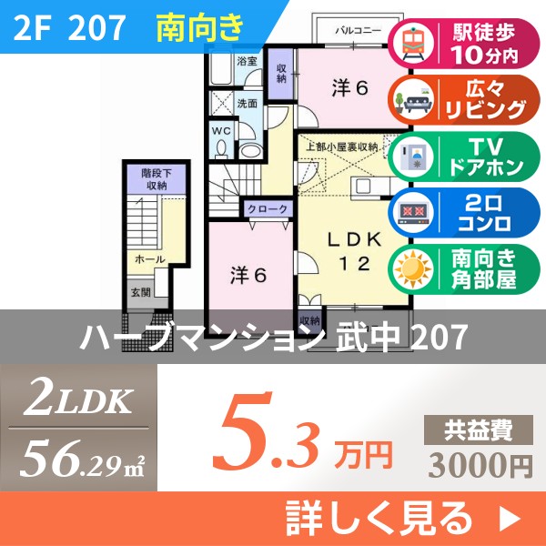 ハーブマンション 武中 207