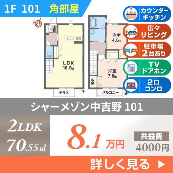 シャーメゾン中吉野 101