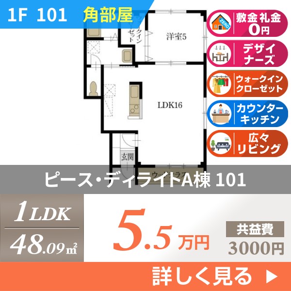 ピース・ディライトA棟 101