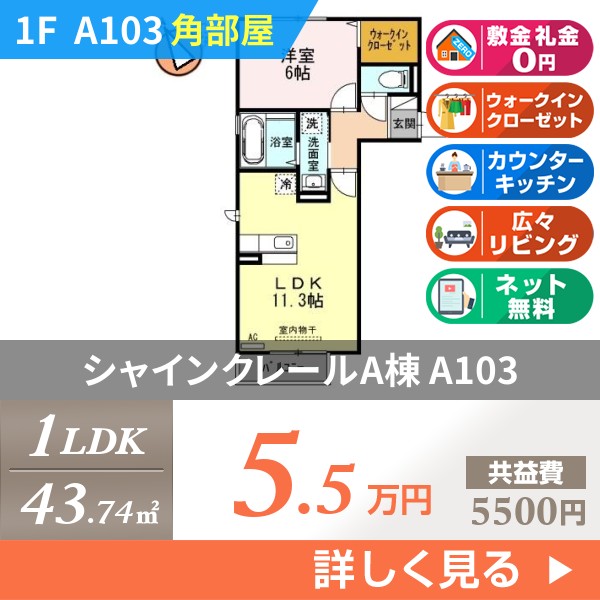 シャインクレールA棟 a103