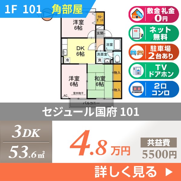 セジュール国府 101