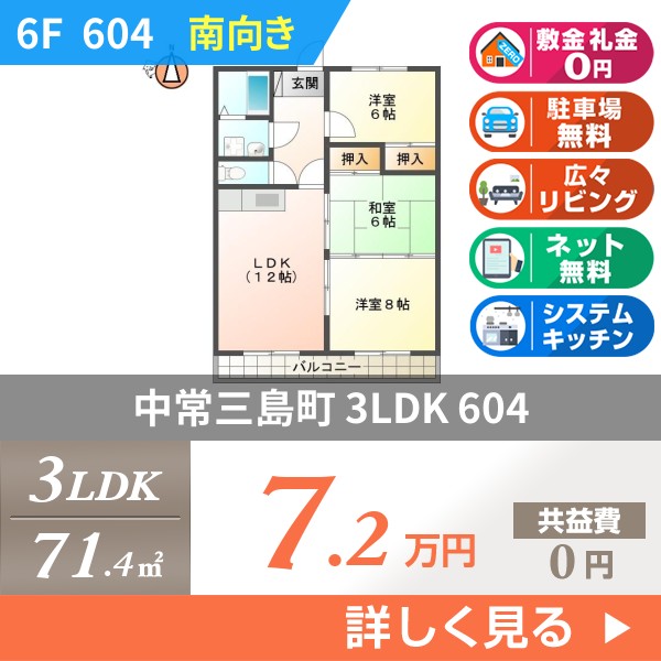 中常三島町 7階建マンション 1996年築 604