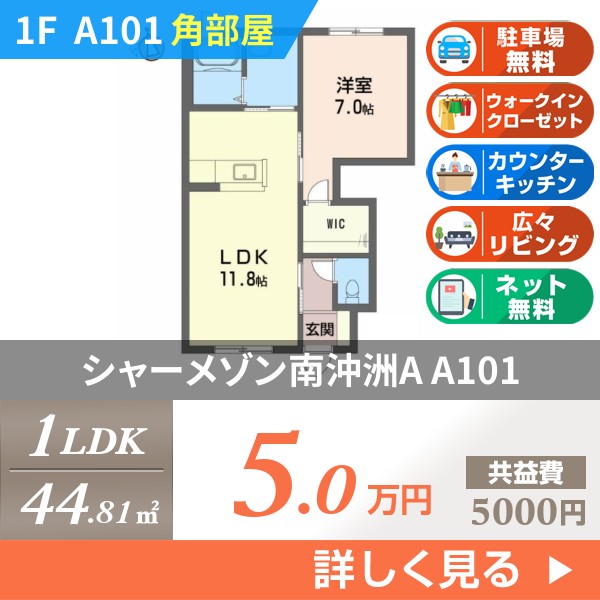 シャーメゾン南沖洲A a101