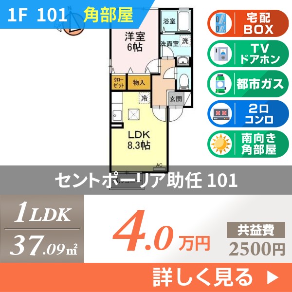 セントポーリア助任 101