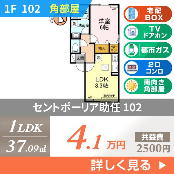 セントポーリア助任 102