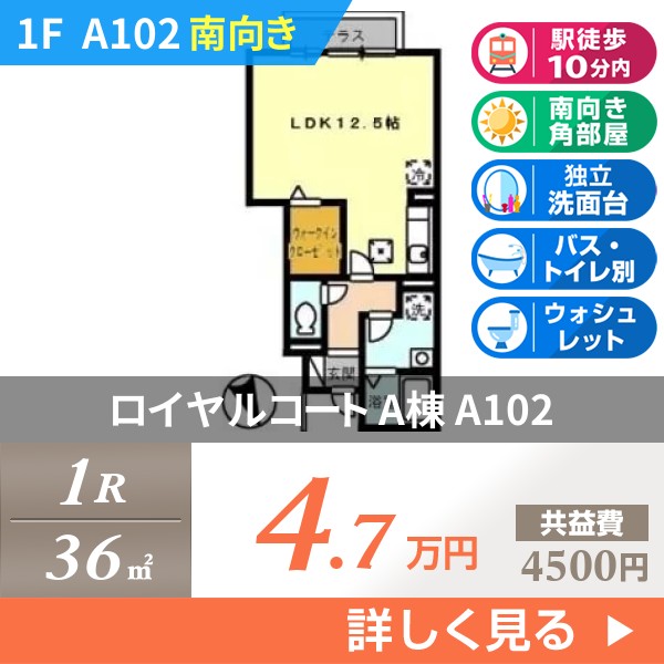 ロイヤルコート A棟 a102
