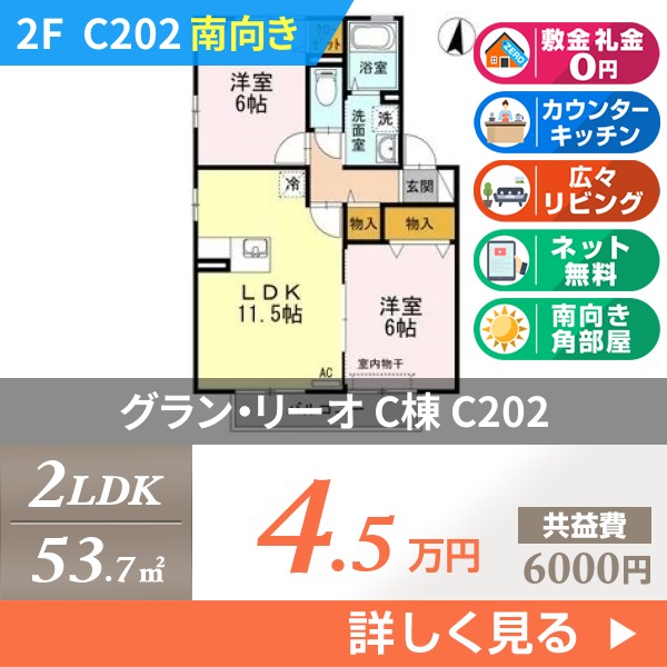 グラン・リーオ C棟 c202