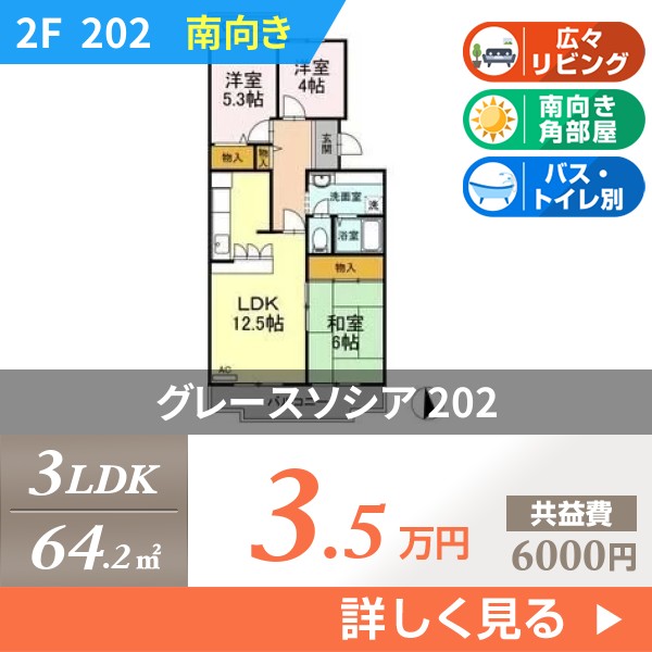 グレースソシア 202