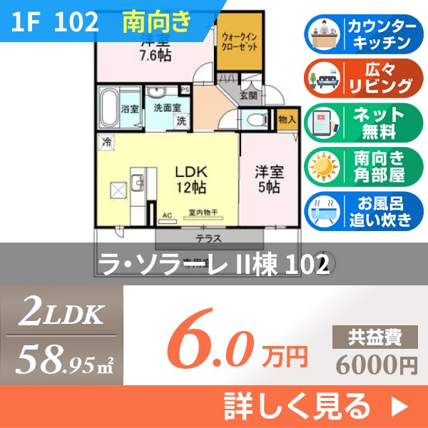 ラ・ソラーレ II棟 102