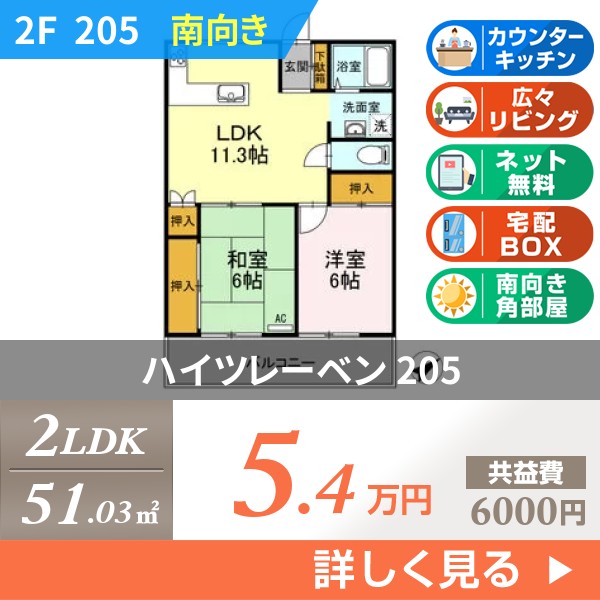 ハイツレーベン 205