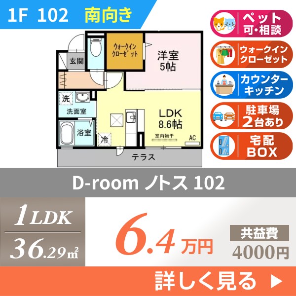 D-room ノトス 102