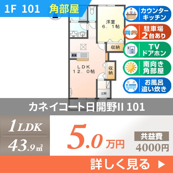 カネイコート日開野II 101