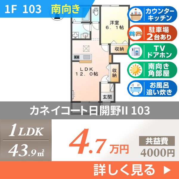 カネイコート日開野II 103