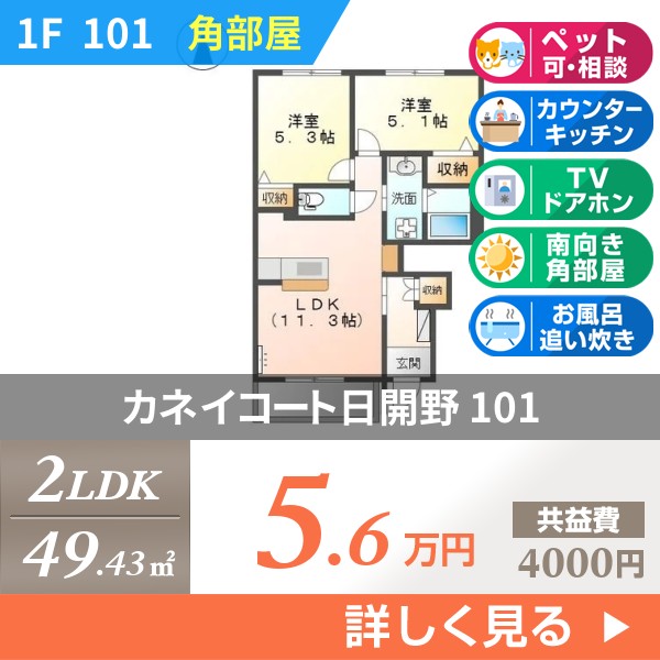 カネイコート日開野 101