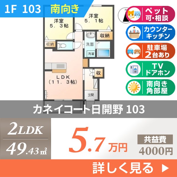 カネイコート日開野 103