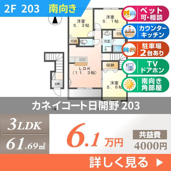 カネイコート日開野 203