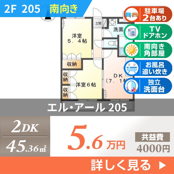エル・アール 205