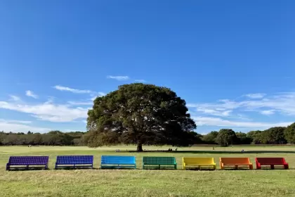 大型の公園が近いとリフレッシュできます