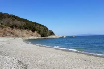 徳島でのんびり田舎ぐらし