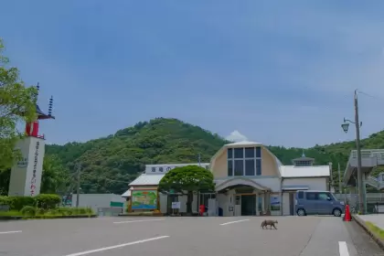 周辺に観光スポットが豊富な日和佐駅