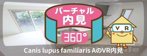 Canis lupus familiaris Aのバーチャル内見