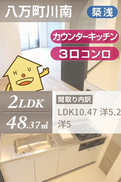 ピース・ブランカ 105のお部屋の特徴