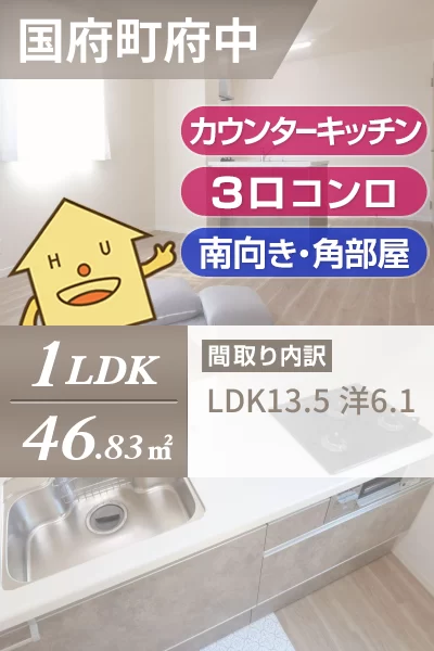 ハイネス国府B棟 103のお部屋の特徴