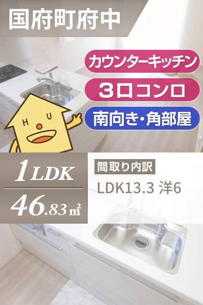 ハイネス国府B棟 105のお部屋の特徴