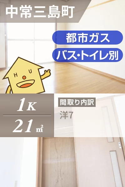 中常三島町 マンション 1K 302のお部屋の特徴