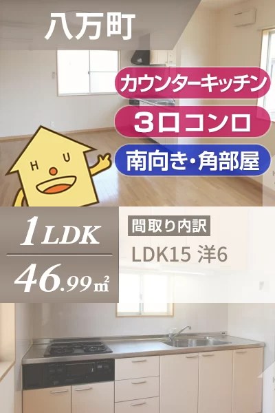 八万町 アパート 1LDK 202のお部屋の特徴