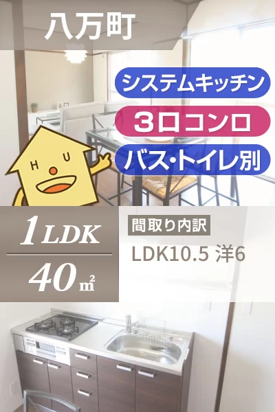八万町 マンション 1LDK 301のお部屋の特徴