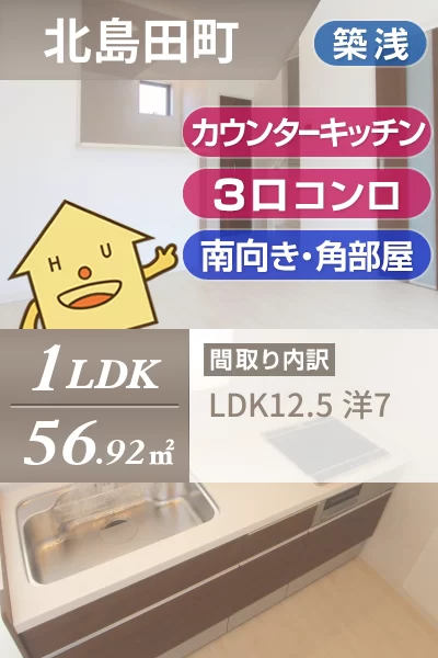 北島田町 アパート 1LDK Fのお部屋の特徴