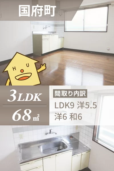 国府町和田字表 マンション 3LDK 3-103のお部屋の特徴