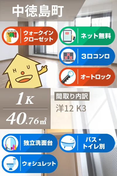 中徳島町 マンション 1K 203のお部屋の特徴