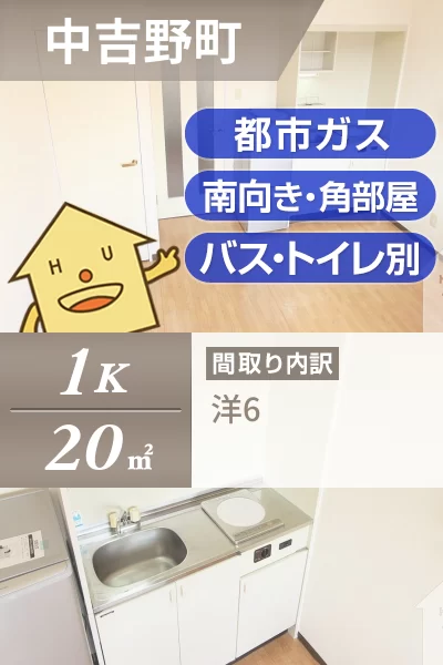中吉野町 マンション 1K 3Aのお部屋の特徴