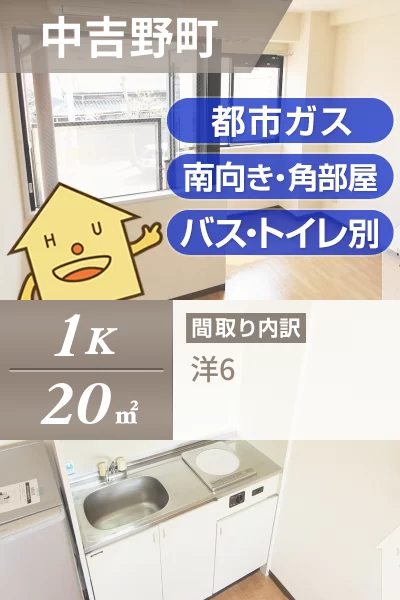 中吉野町 マンション 1K 3Bのお部屋の特徴