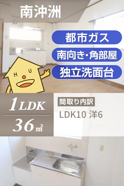 南沖洲 アパート 1LDK 201のお部屋の特徴