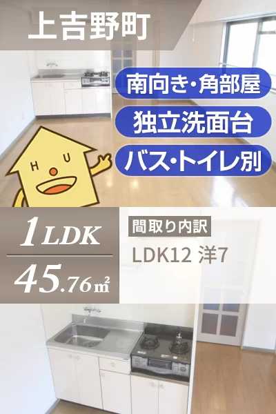 上吉野町 マンション 1LDK 101のお部屋の特徴