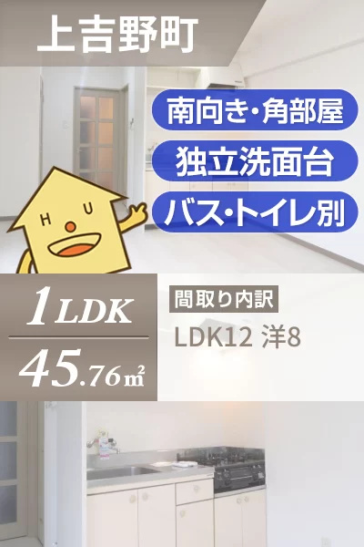 上吉野町 マンション 1LDK 205のお部屋の特徴