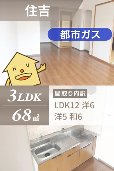 住吉 マンション 3LDK 105のお部屋の特徴
