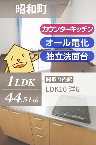 昭和町 アパート 1LDK 6のお部屋の特徴