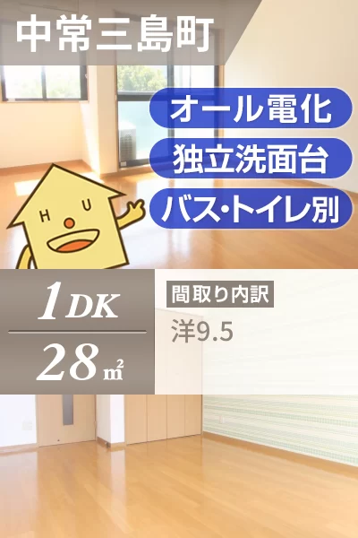 中常三島町 マンション 1DK 302のお部屋の特徴