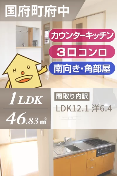 ハイネス国府A棟 101のお部屋の特徴